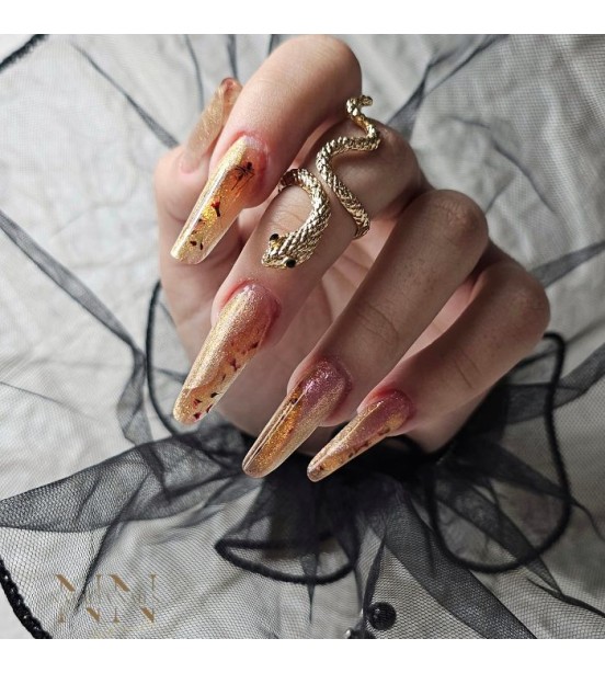 Curs Bază Nivel 1 Începători 