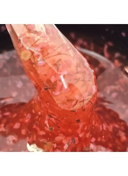 Flora Fall Morning Builder Gel